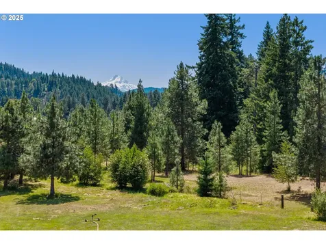 4 Strong Road Trout Lake WA 98650