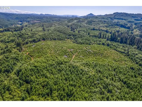 Eden Valley Road Rosburg WA 98643