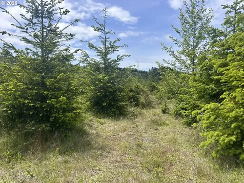 Eden Valley Road Rosburg WA 98643