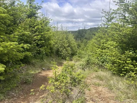 Eden Valley Road Rosburg WA 98643