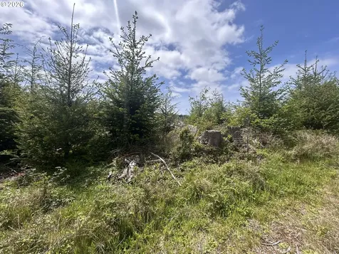 Eden Valley Road Rosburg WA 98643