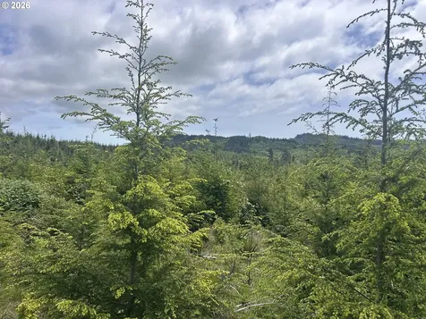 Eden Valley Road Rosburg WA 98643