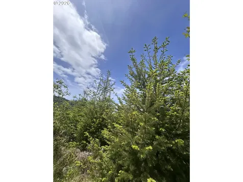 Eden Valley Road Rosburg WA 98643