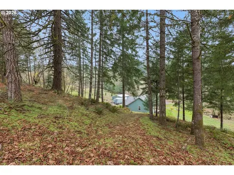 3550 NW Blacktail Drive Mcminnville OR 97128