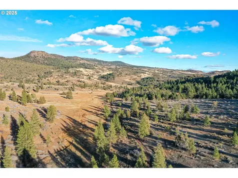28000 SE Paulina Highway Prineville OR 97754