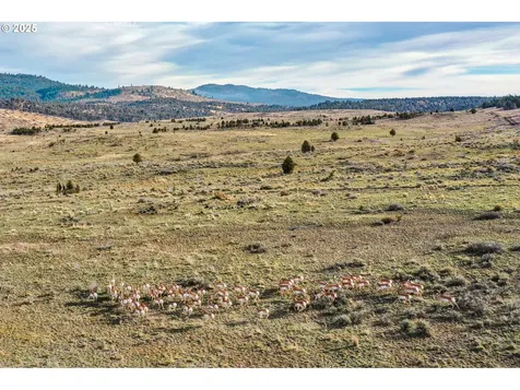 28000 SE Paulina Highway Prineville OR 97754