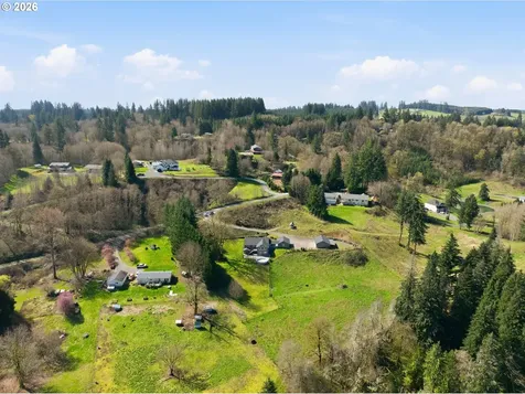 13708 NE 401st Way Amboy WA 98601