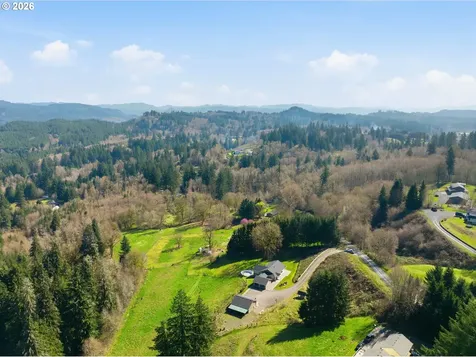 13708 NE 401st Way Amboy WA 98601