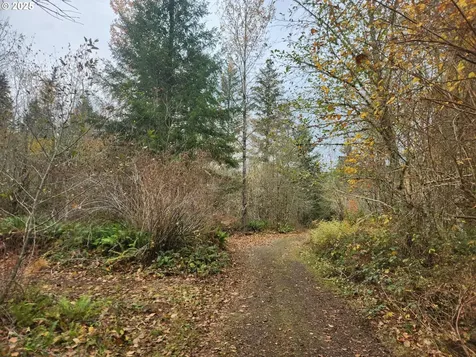 8974 Spirit Lake Highway Toutle WA 98649