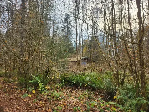 8974 Spirit Lake Highway Toutle WA 98649
