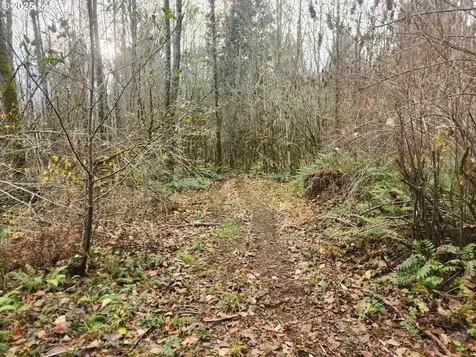 8974 Spirit Lake Highway Toutle WA 98649