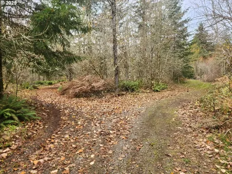 8974 Spirit Lake Highway Toutle WA 98649