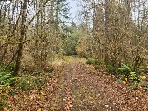 8974 Spirit Lake Highway Toutle WA 98649