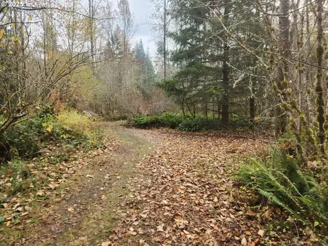 8974 Spirit Lake Highway Toutle WA 98649