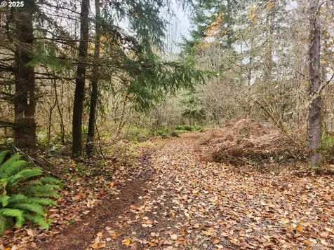 8974 Spirit Lake Highway Toutle WA 98649