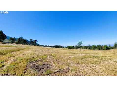 34082 Mt Tom Drive Harrisburg OR 97446