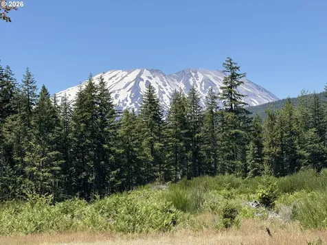 0 Lahar Lane Cougar WA 98616