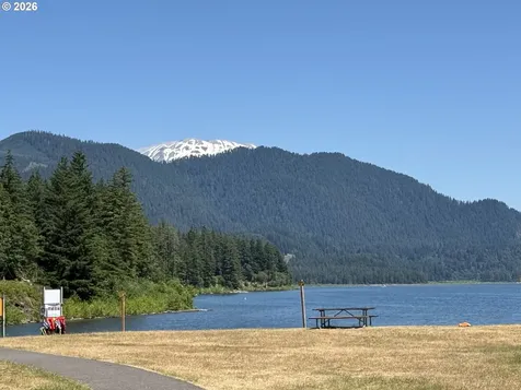 0 Lahar Lane Cougar WA 98616