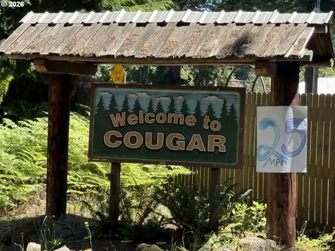 0 Lahar Lane Cougar WA 98616