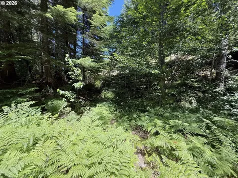 0 Lahar Lane Cougar WA 98616