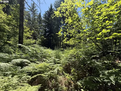 0 Lahar Lane Cougar WA 98616