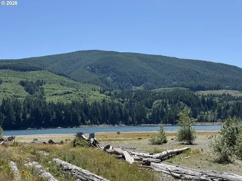 0 Lahar Lane Cougar WA 98616