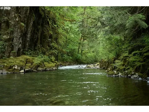1241 N Fork Road Washougal WA 98671