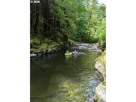 1241 N Fork Road Washougal WA 98671