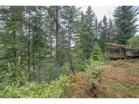 1241 N Fork Road Washougal WA 98671