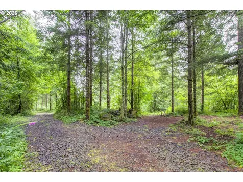1241 N Fork Road Washougal WA 98671