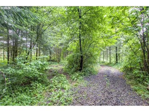 1241 N Fork Road Washougal WA 98671