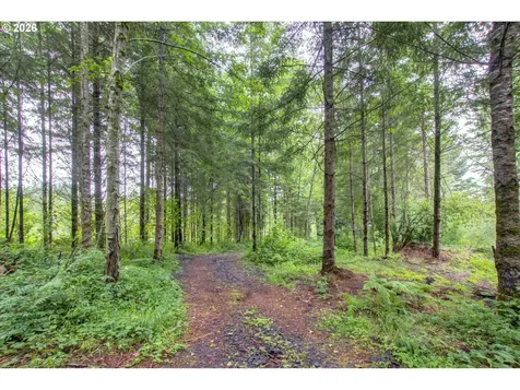 1241 N Fork Road Washougal WA 98671