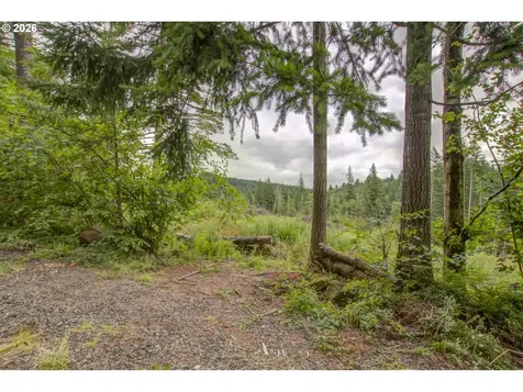 1241 N Fork Road Washougal WA 98671