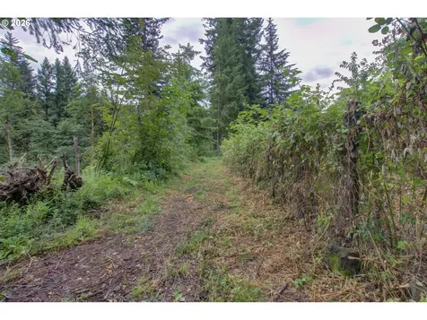 1241 N Fork Road Washougal WA 98671