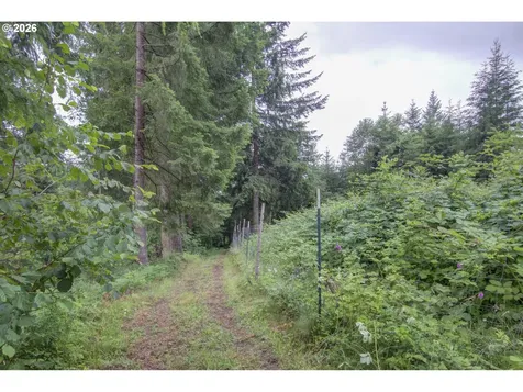 1241 N Fork Road Washougal WA 98671
