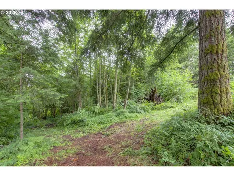 1241 N Fork Road Washougal WA 98671