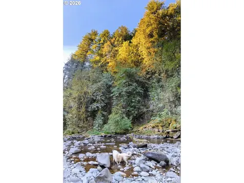1241 N Fork Road Washougal WA 98671
