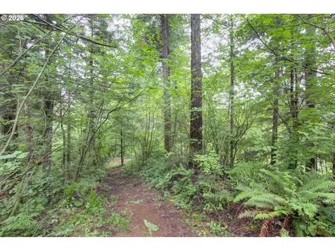 1241 N Fork Road Washougal WA 98671