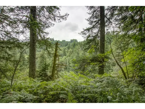 1241 N Fork Road Washougal WA 98671