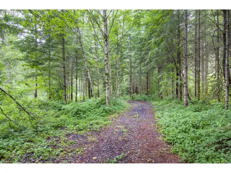 1241 N Fork Road Washougal WA 98671