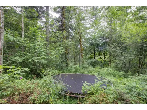 1241 N Fork Road Washougal WA 98671