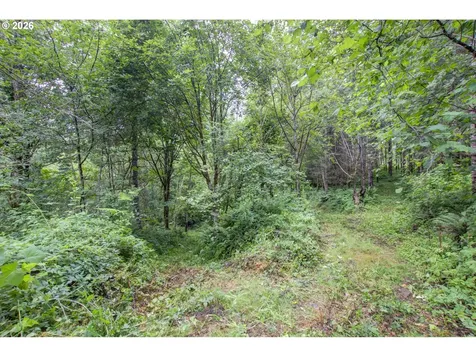 1241 N Fork Road Washougal WA 98671