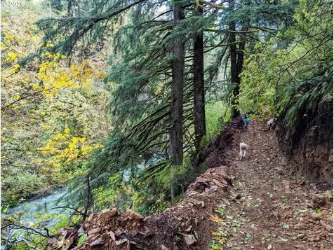 1241 N Fork Road Washougal WA 98671