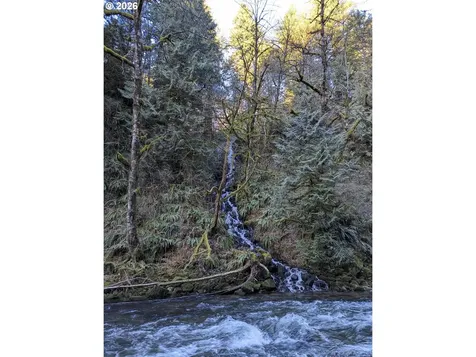 1241 N Fork Road Washougal WA 98671
