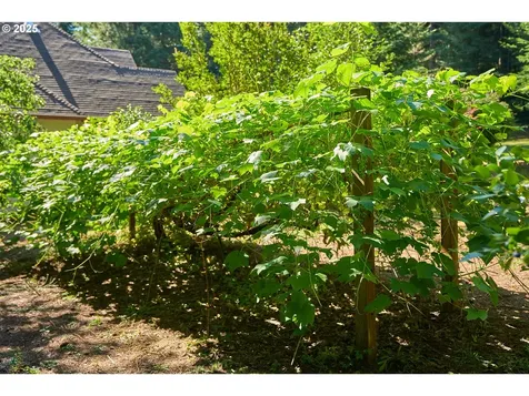 601 SE 380th Court Washougal WA 98671