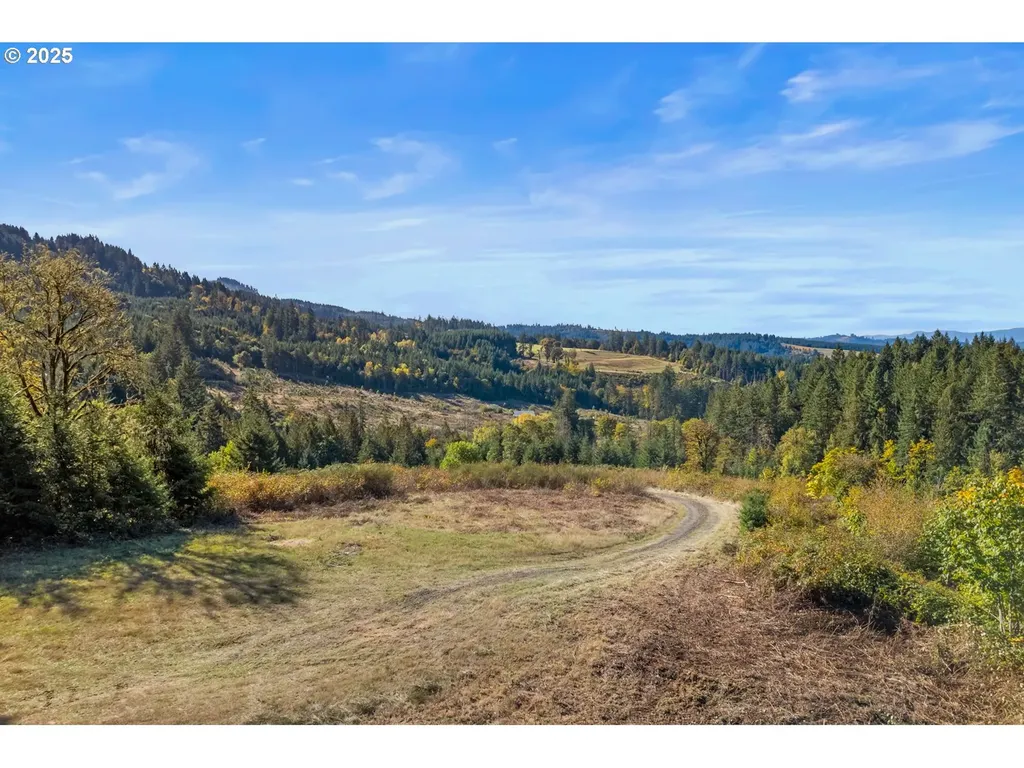 37251 SW Thimbleberry Drive Gaston OR 97119
