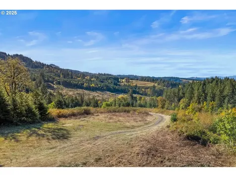 37251 SW Thimbleberry Drive Gaston OR 97119