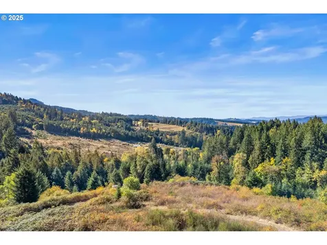 37251 SW Thimbleberry Drive Gaston OR 97119