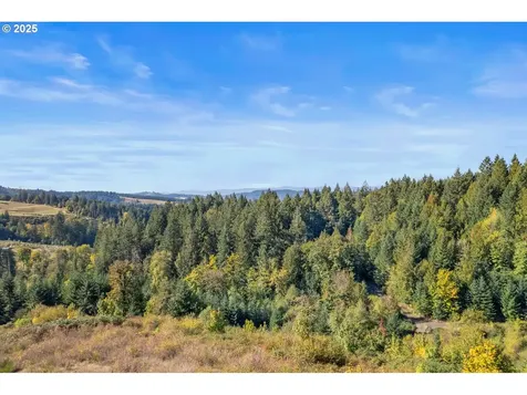 37251 SW Thimbleberry Drive Gaston OR 97119