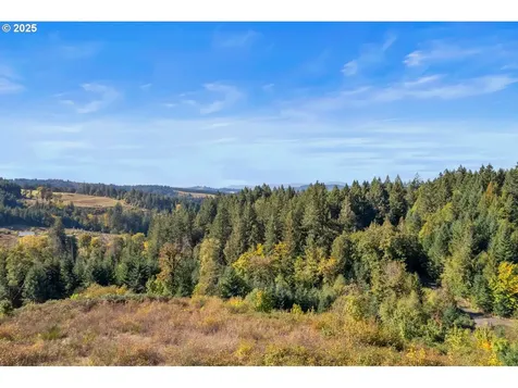 37251 SW Thimbleberry Drive Gaston OR 97119